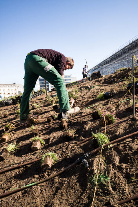 8-Gare Nord-Plantations paysage construit octobre 2018.jpg