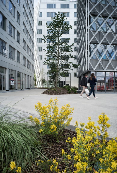 Pôle économique en centre-ville